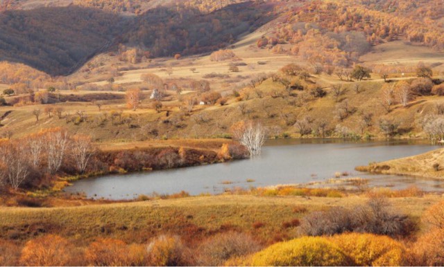 网络图片(侵删) 网络图片(侵删)