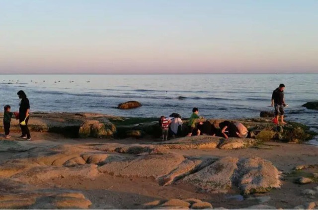 网络图片(侵删) 网络图片(侵删)