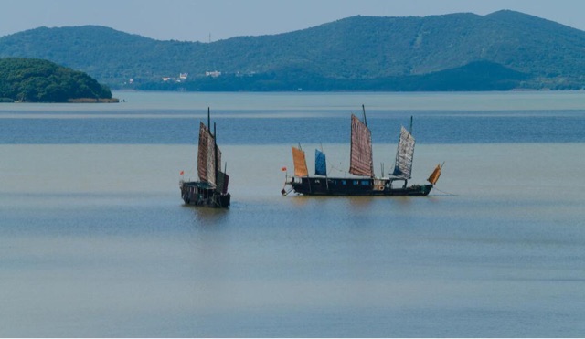 网络图片(侵删) 网络图片(侵删)