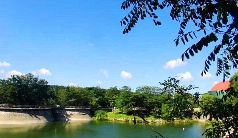 网络图片(侵删) 网络图片(侵删)