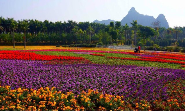 网络图片(侵删) 网络图片(侵删)