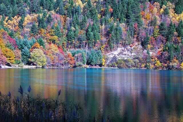 网络配图 网络配图