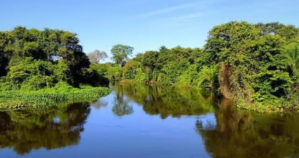 网络配图 网络配图