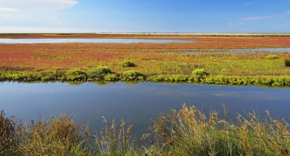 网络配图 网络配图