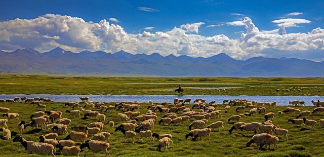 网络配图 网络配图