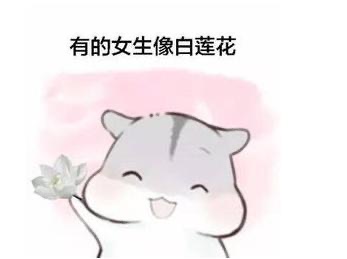 网络配图 网络配图
