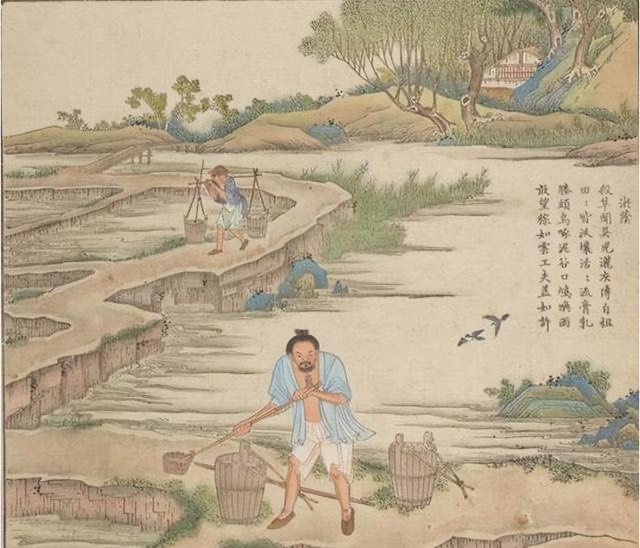 网络配图 网络配图